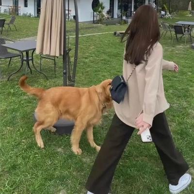 血染的摇篮